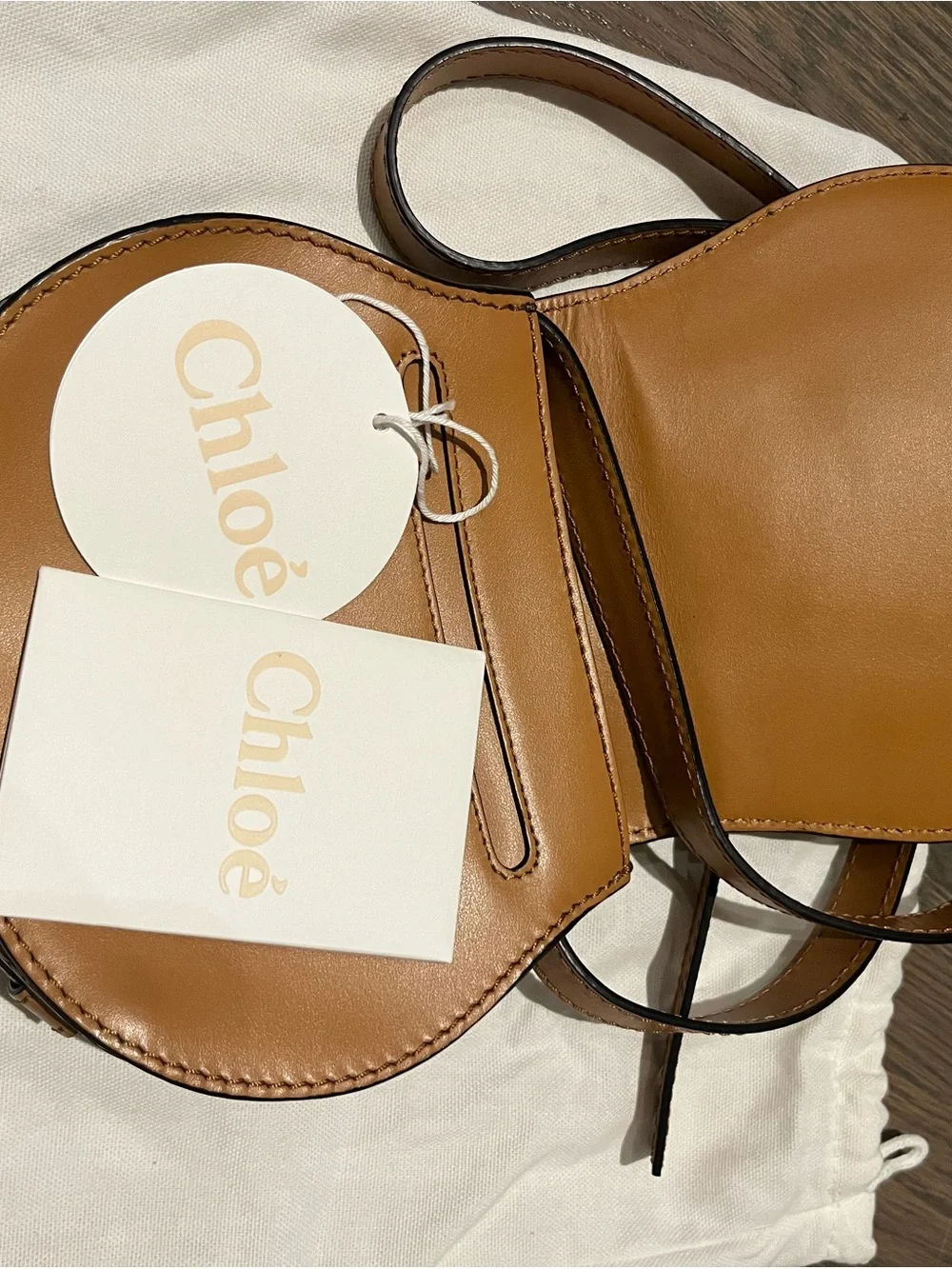 Chloe Marcie Small Saddle Bag- Multicolor Python Print Embossed Leather